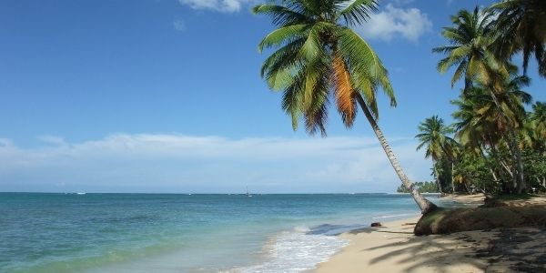 Creaturart - stock.adobe.com